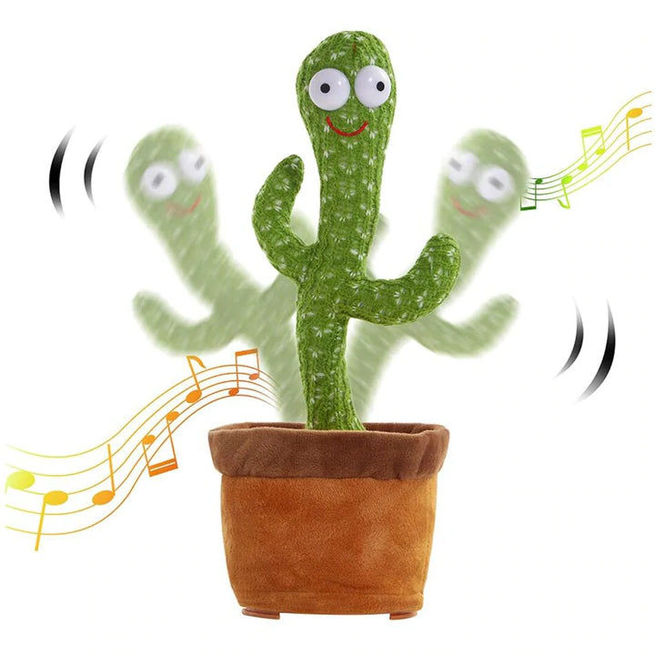GroovyCactus™ | Puts a smile on your face!